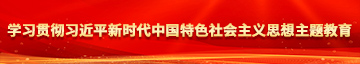 肏屄美女学习贯彻习近平新时代中国特色社会主义思想主题教育